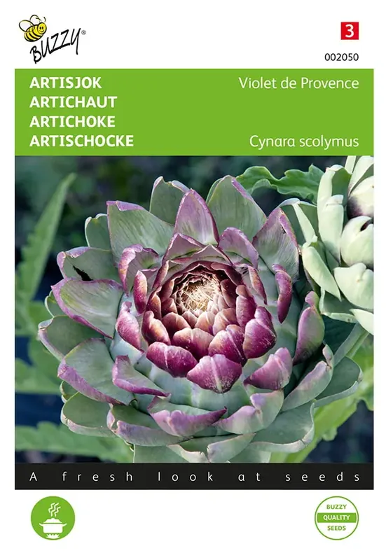 Actie - Artisjok Violet De Provence