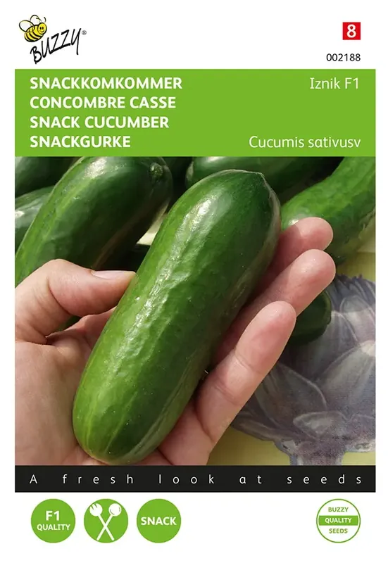 Komkommers Snack Iznik F1 | Rechtstreeks van de fabrikant