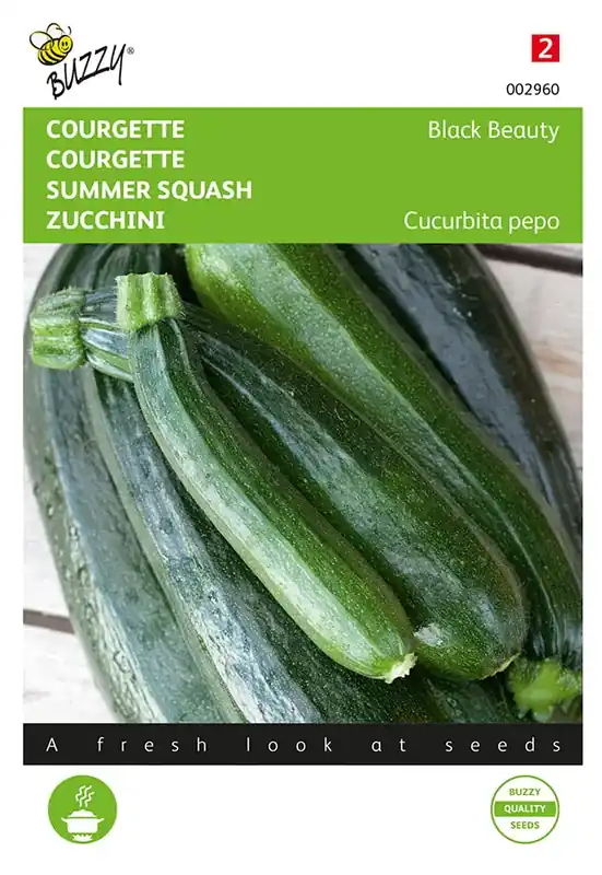Courgette Black Beauty - Verte De Milan | Korting