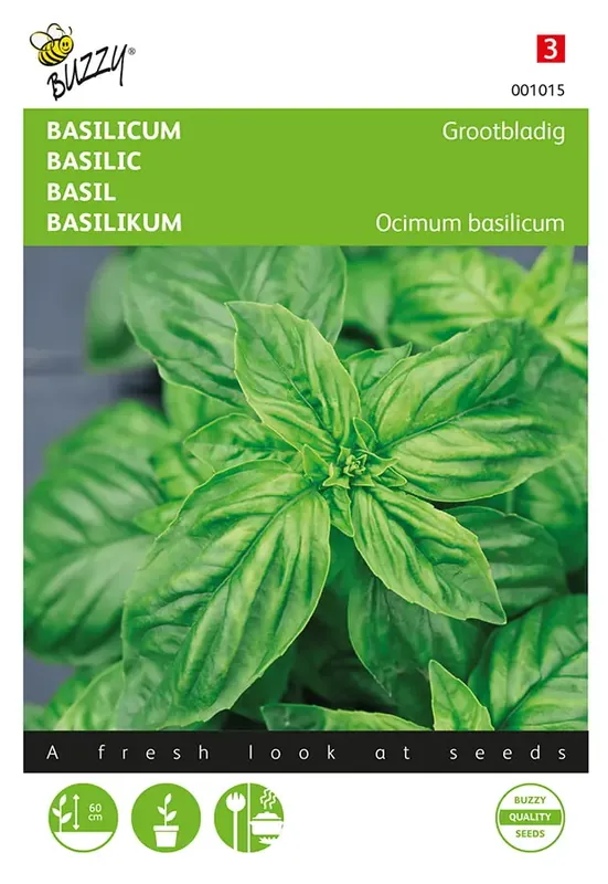 Basilicum Grootbladig - Voordelig