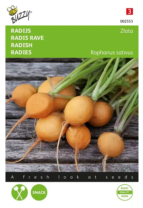 Radijs Zlata, gele | Laatste kans