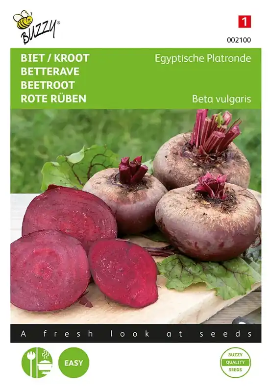 Makkelijk bestellen | Biet / Kroot Egyptische Platronde