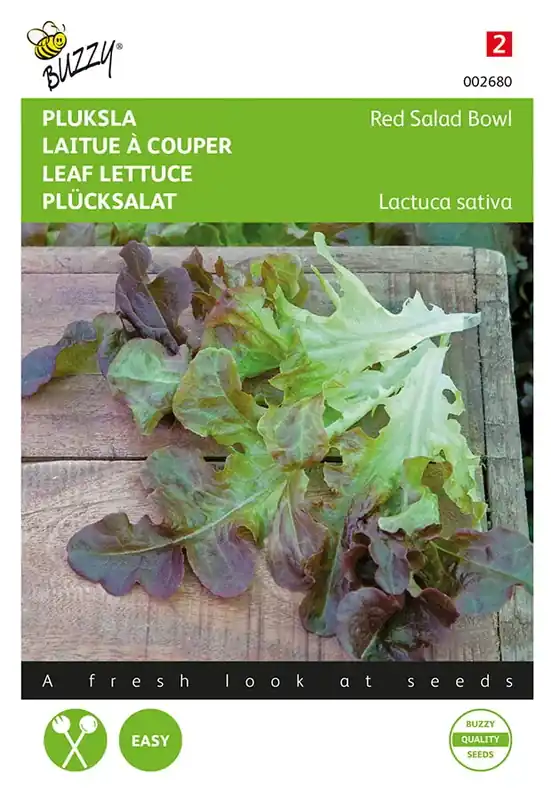 Pluksla Red Salad Bowl, Rode Eikenblad | Nieuw in het assortiment