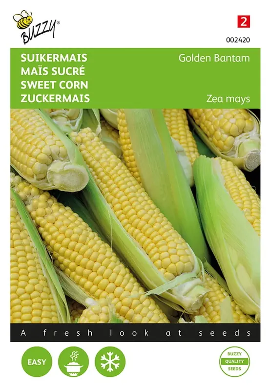 Suikermais Golden Bantam | Voorraad bijna op
