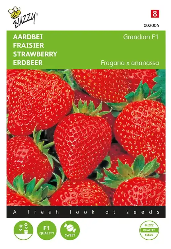 Veel gekozen | Aardbeien Grandian F1
