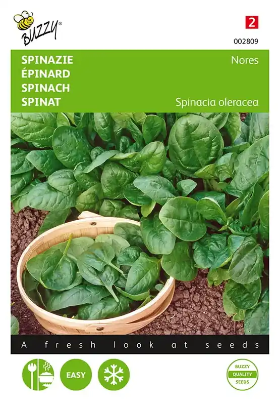 Spinazie Nores | Snelle levering