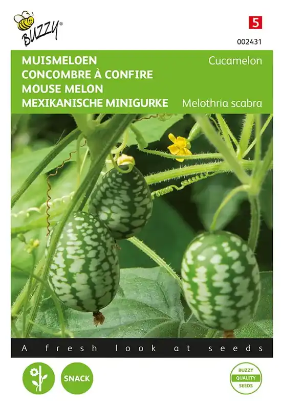 Muismeloen, Cucamelon | Snelle verzending