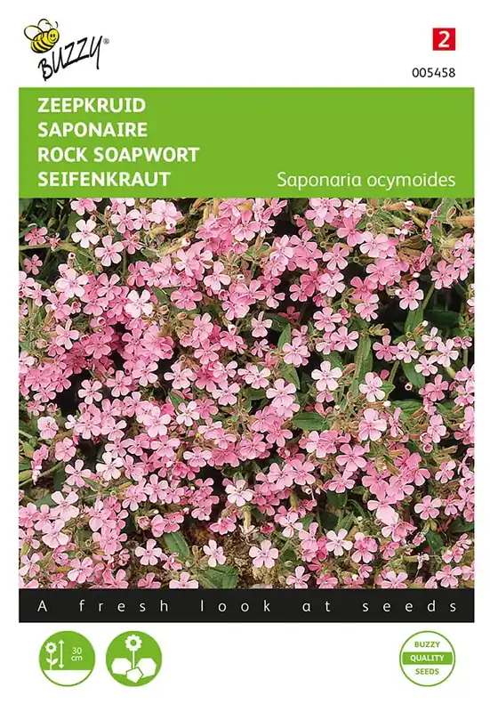 Veilig betalen - Saponaria, Zeepkruid
