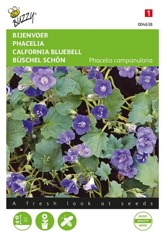 Phacelia, Bijenvoer | Populair