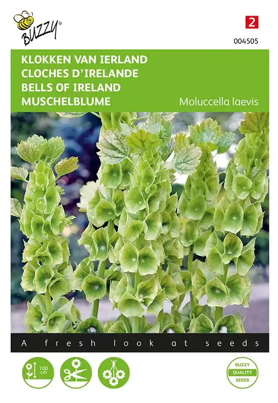 Net gelanceerd - Molucella, Klokken van Ierland