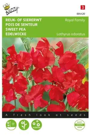 Actie - Lathyrus, Reuk- of siererwt Royal Family rood