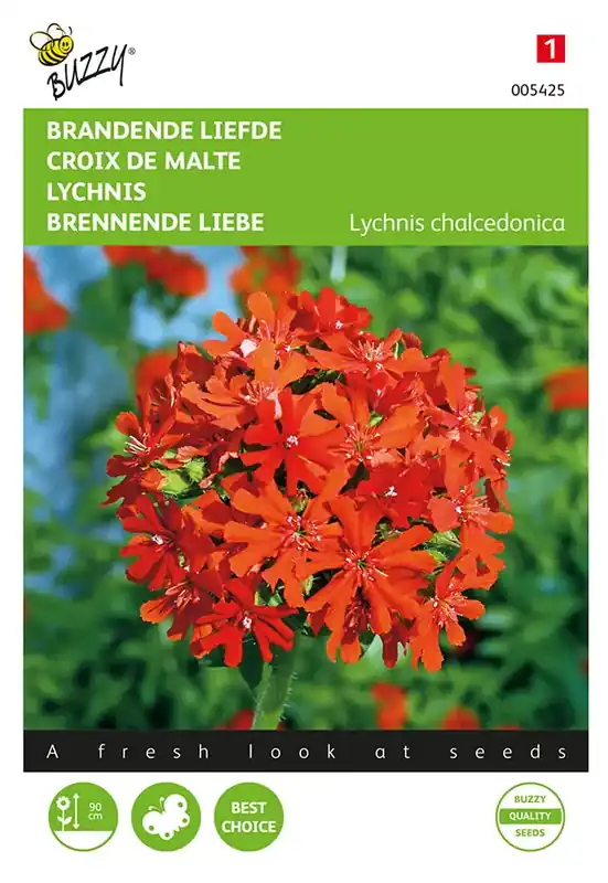 Lychnis, Brandende Liefde - Direct bestellen