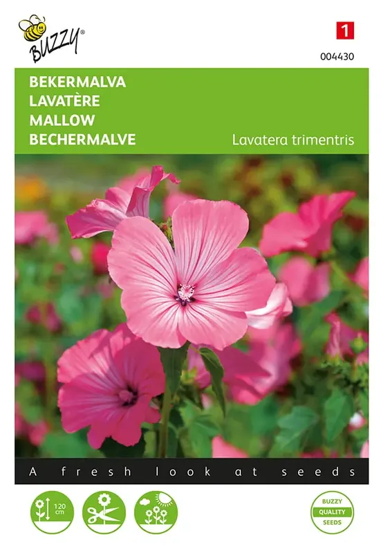 Topprijs - Lavatera, Bekermalva Roze/Rood