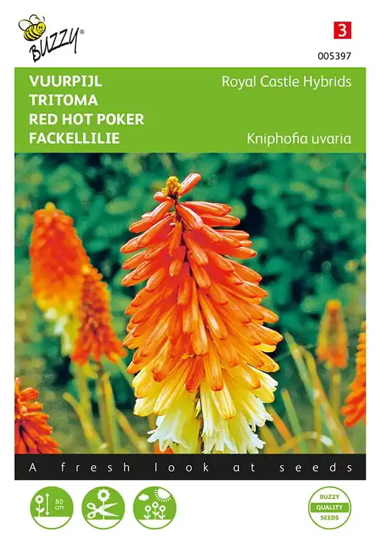 Rechtstreeks uit de fabriek | Kniphofia, Vuurpijl Royal Castle Hybrids