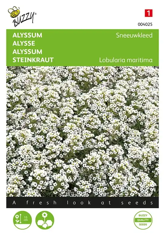 Nog maar enkele beschikbaar | Alyssum Sneeuwkleed