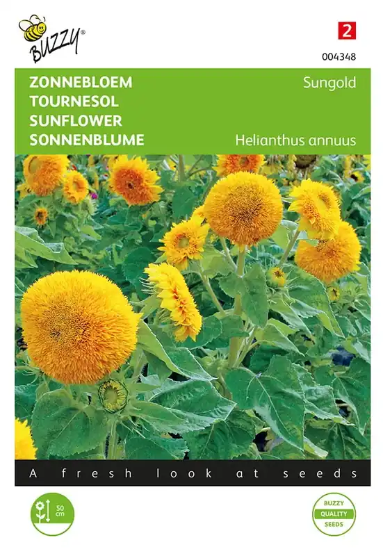 Helianthus, Zonnebloem Sungold dubbelbloemig laag - Veilig betalen