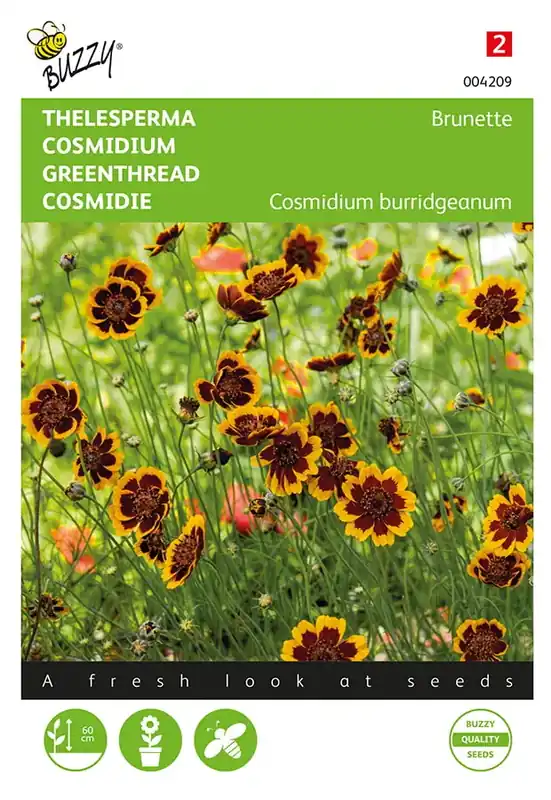 Cosmidium, Thelesperma Brunette - Veilig winkelen