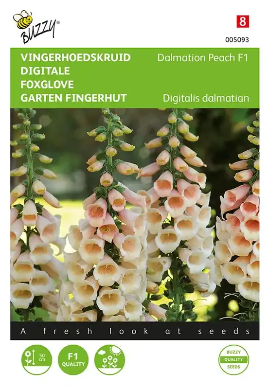 Digitalis, Vingerhoedskruid Dalmation F1 Peach - Nieuw in het assortiment