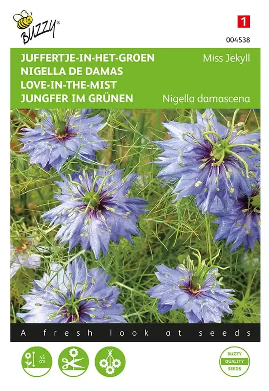 Nu beschikbaar - Nigella, Juffertje-in-het-groen Miss Jekyll blauw