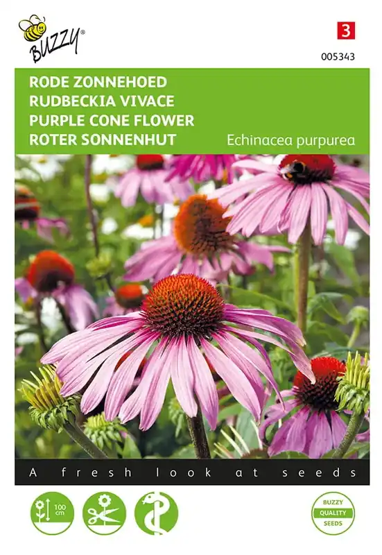 Echinacea, Rode Zonnehoed | Dagdeal