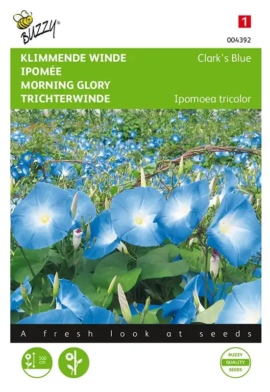 Trending - Ipomoea, Klimmende winde Clark’s Blue