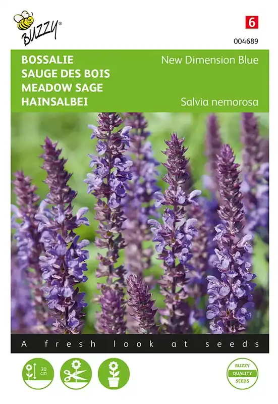Nieuw binnengekomen - Salvia, Bossalie New Dimension Blue