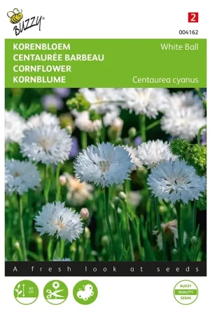Actieprijs - Centaurea, Korenbloem White ball