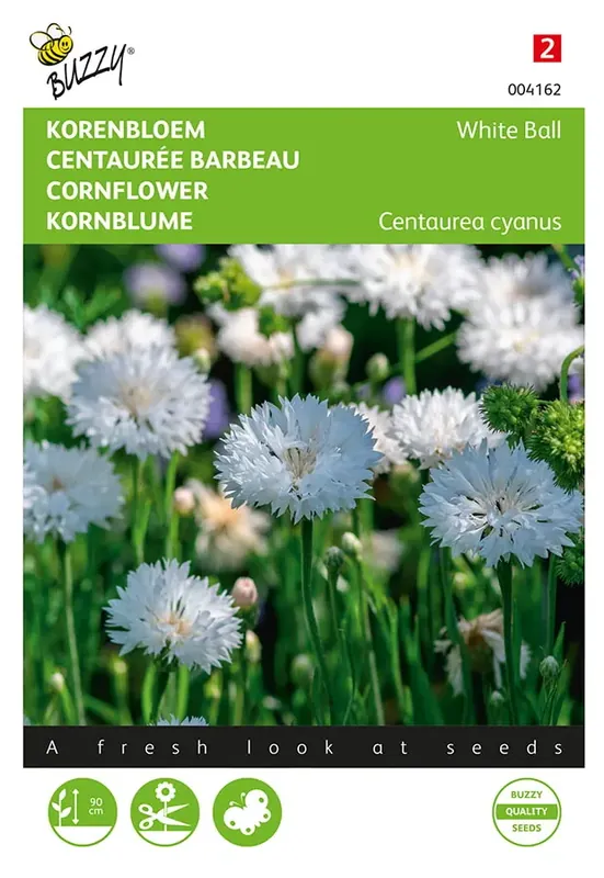 Actieprijs - Centaurea, Korenbloem White ball
