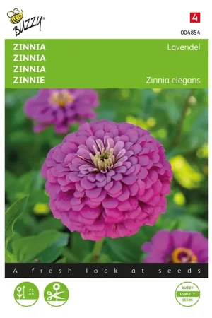 Zinnia Lavendel - Hoog gewaardeerd