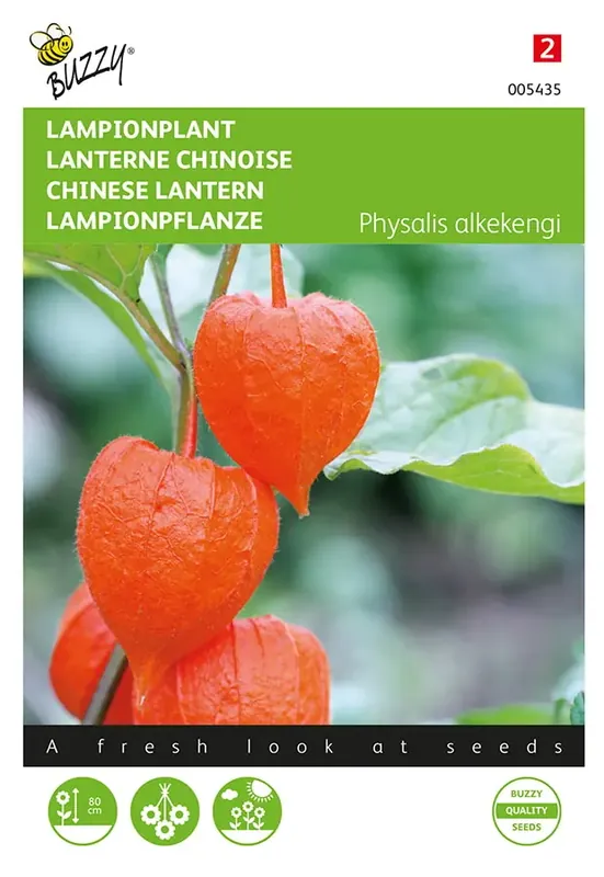 Mis het niet - Physalis, Lampionplant
