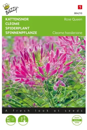 Actieprijs - Kattensnor Rose Queen