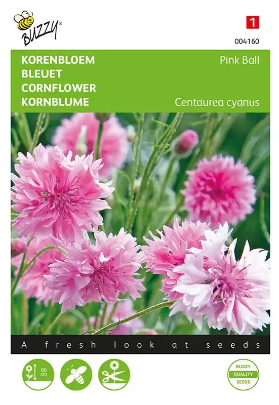 Goed beoordeeld | Korenbloem Pink Ball