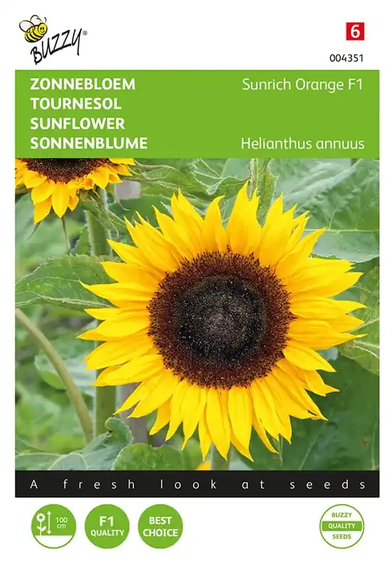 Nieuw in het assortiment | Zonnebloem Sunrich Orange F1