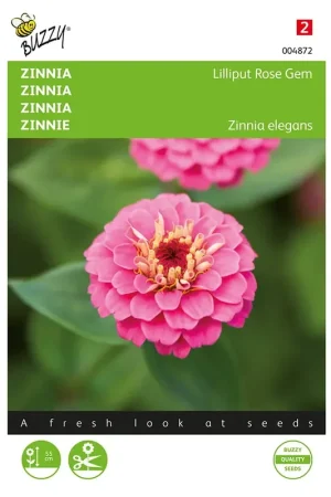Zolang de voorraad strekt | Zinnia Lilliput Rose Gem