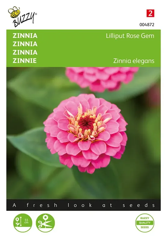 Zolang de voorraad strekt | Zinnia Lilliput Rose Gem