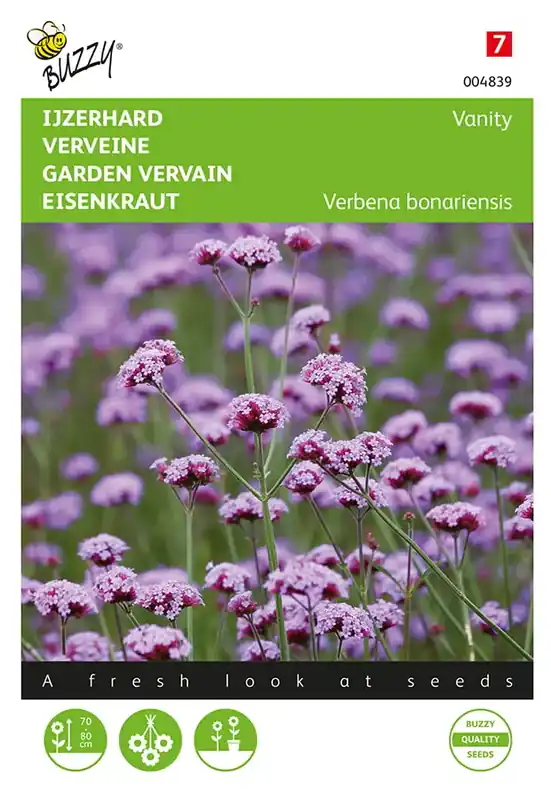 Verbena, IJzerhard Vanity | Topprijs