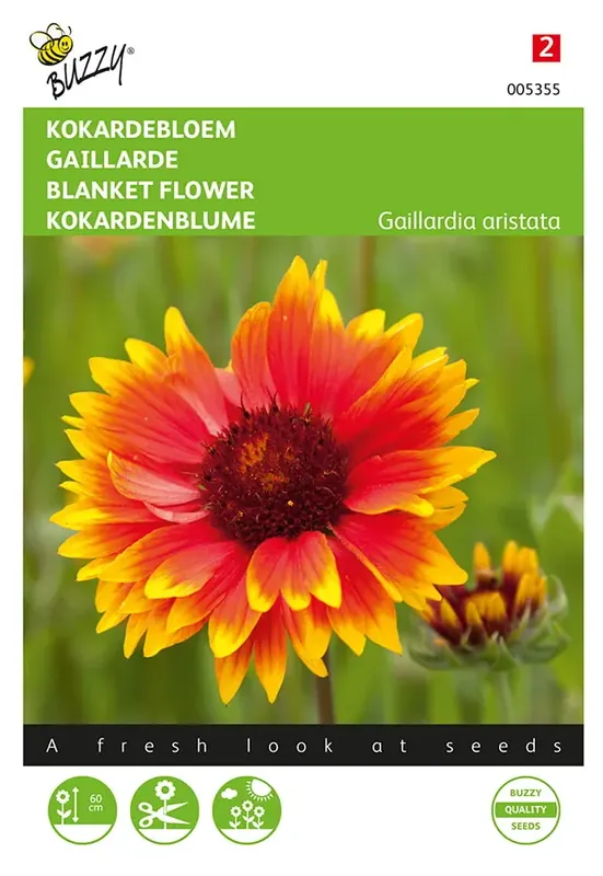 Actie loopt bijna af | Gaillardia, Kokardebloem