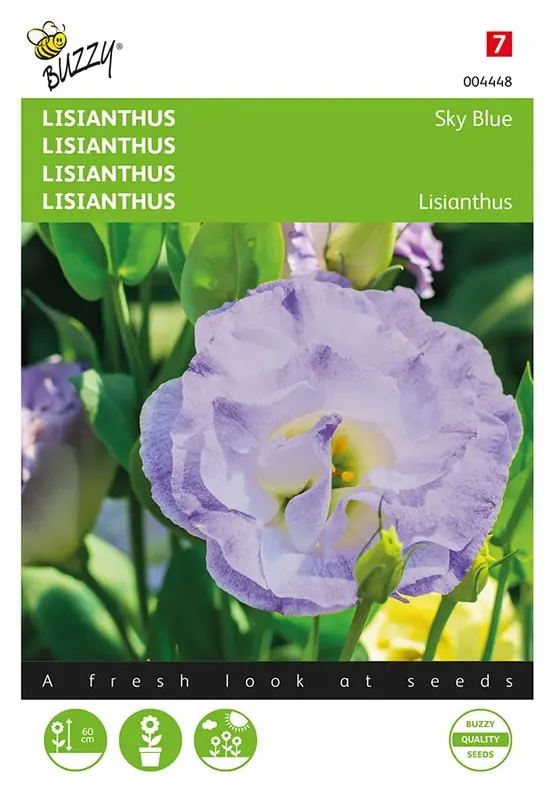 Lisianthus Sky Blue - Sale