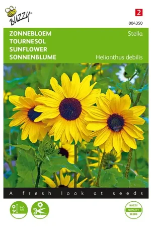Zonnebloem Stella kleinbloemig | Eenvoudig retourneren