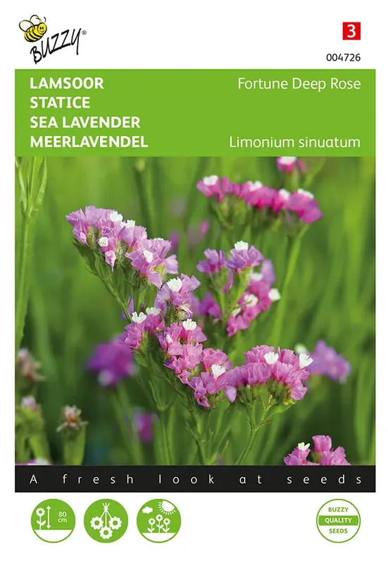 Koopje - Limonium, Lamsoor Fortune Deep Rose