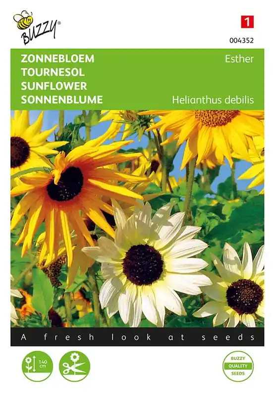 Topdeal - Helianthus, Zonnebloem Esther