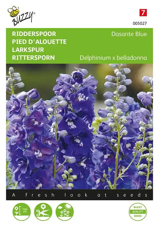 Hoge kwaliteit | Delphinium, Ridderspoor Dasante Blue