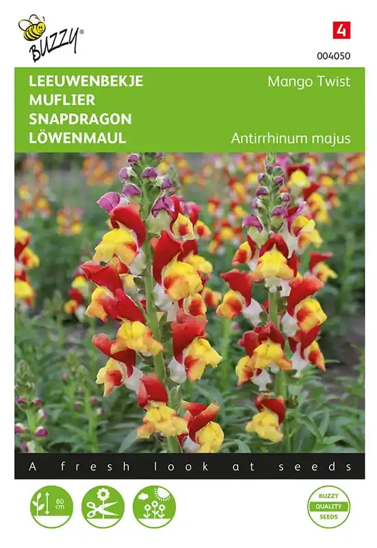 Nieuwe release | Antirrhinum, Leeuwenbekje Mango Twist