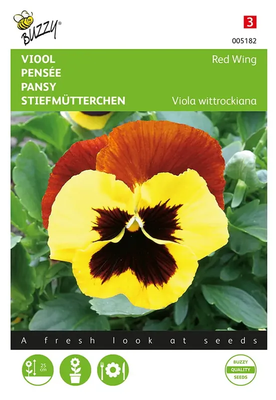 Viola, Viool Red Wing | Professionele kwaliteit
