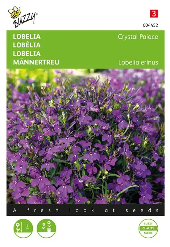 Tijdelijke aanbieding | Lobelia Crystal Palace