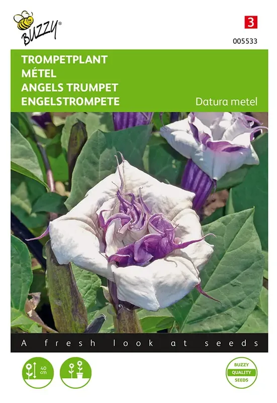 Datura, Trompetplant | Bestseller