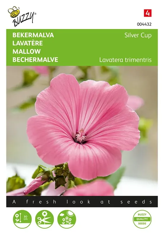Topprijs - Lavatera, Bekermalva Silver Cup