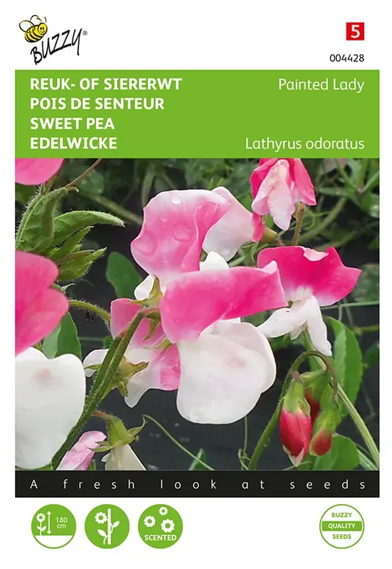 Lathyrus, Reuk- of siererwt Painted Lady - Gratis retourneren
