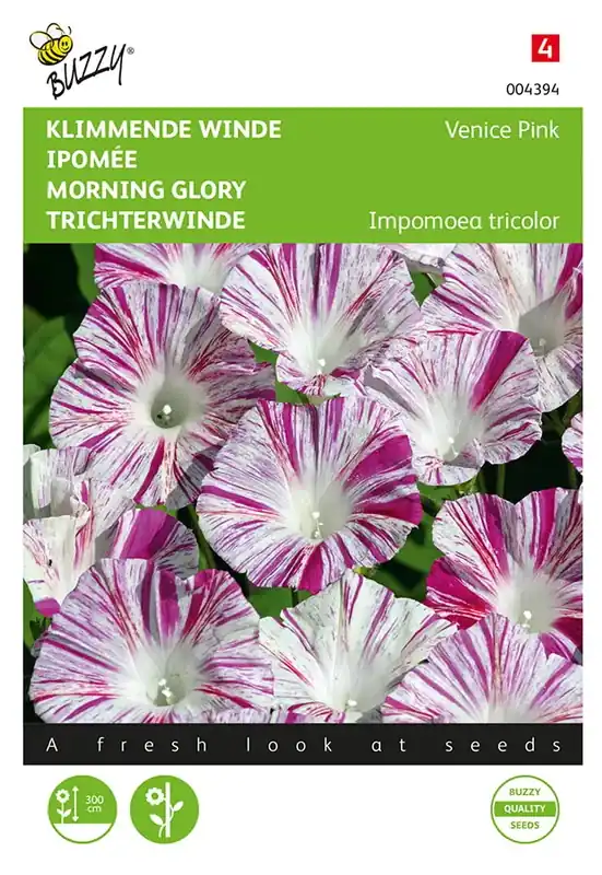 Ipomoea, Klimmende winde Venice Pink | Nu beschikbaar