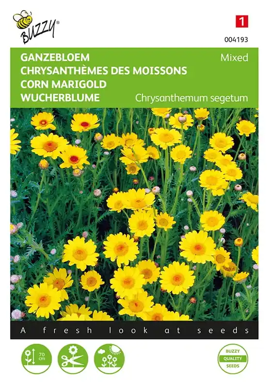 Prijsverlaging | Chrysanthemum, Ganzebloem gele tinten gemengd